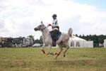1208WEC_1148