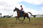 1208WEC_1152