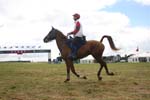 1208WEC_1153
