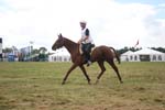 1208WEC_1176