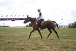 1208WEC_1177