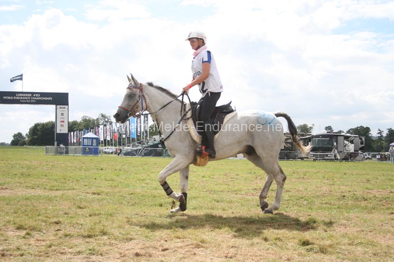 1208WEC_1197