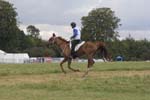 1208WEC_1317