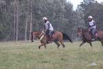 1208WEC_1323