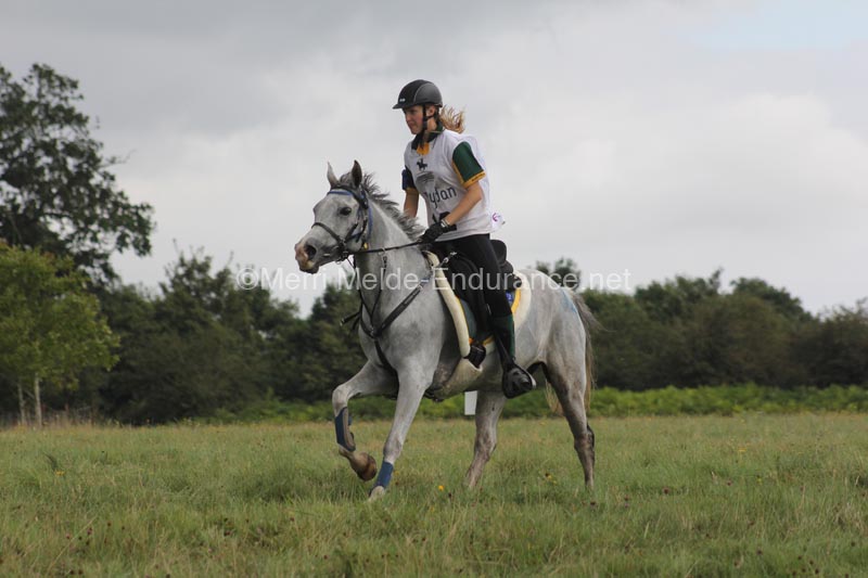 1208WEC_1404
