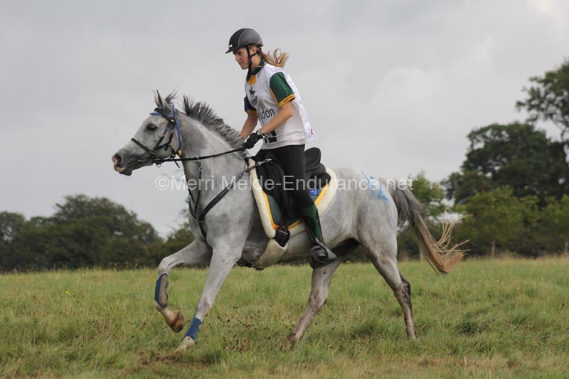 1208WEC_1406