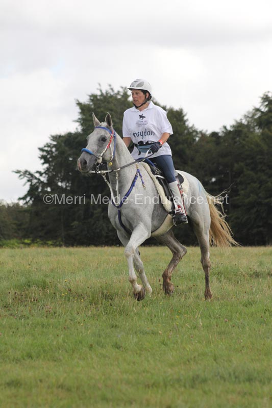 1208WEC_1414