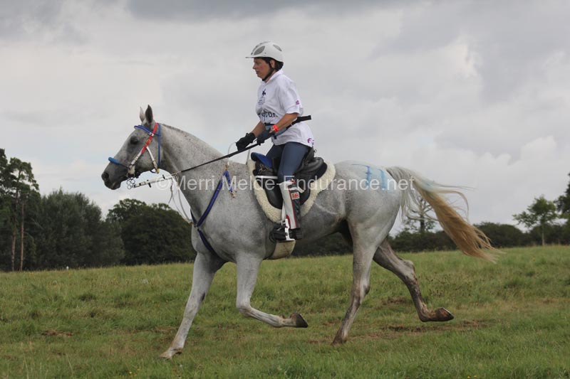 1208WEC_1416
