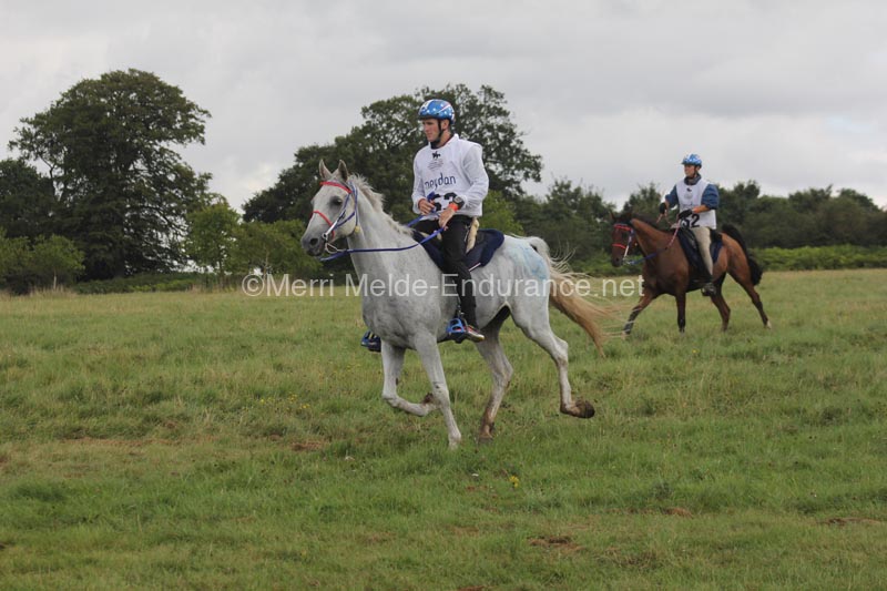 1208WEC_1419