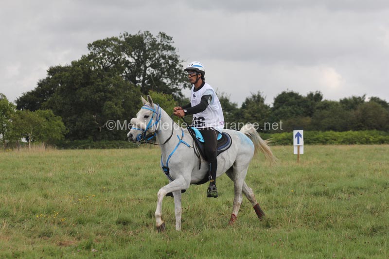 1208WEC_1428