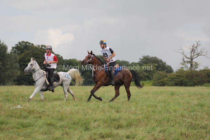 1208WEC_1431