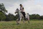 1208WEC_1404