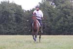 1208WEC_1411