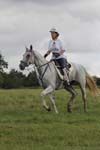 1208WEC_1415