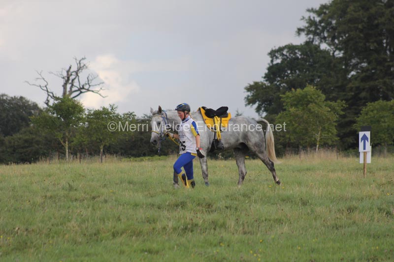 1208WEC_1456