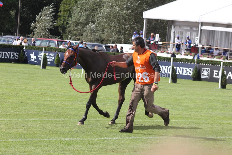 1208WEC_1559