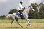 1208WEC_1495
