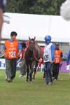 1208WEC_1563