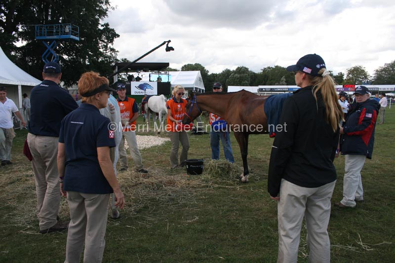 1208WEC_1575