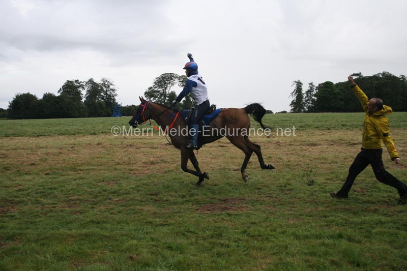 1208WEC_1598