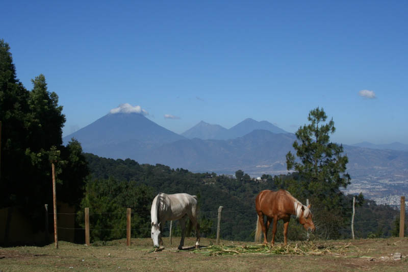 Sonsoles Murray y Avalon