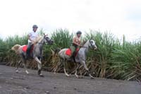 international/Guatemala/2008MayanAdventure/gallery/01gallery/thumbnails/8035_0095.jpg