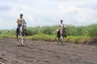 international/Guatemala/2008MayanAdventure/gallery/01gallery/thumbnails/8035_0129.jpg