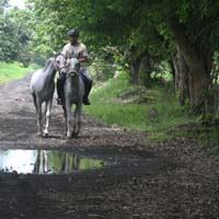 international/Guatemala/2008MayanAdventure/gallery/01gallery/thumbnails/8035_0152.jpg