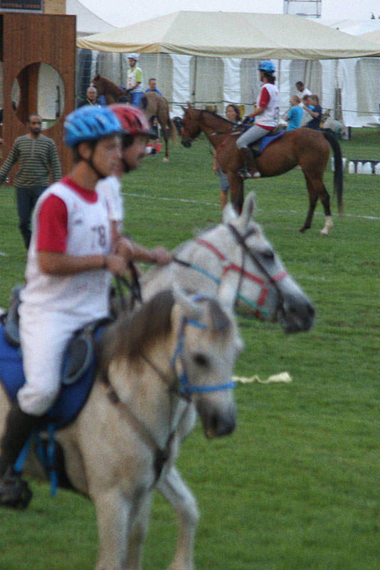 IMG_8162