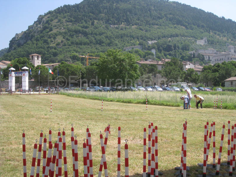 0806ITA_169
