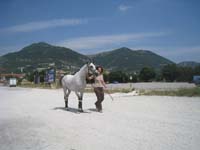 0806ITA_176