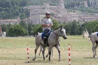 international/Italy/2008Gubbio/gallery/06Friday/thumbnails/0806GUB_017.jpg