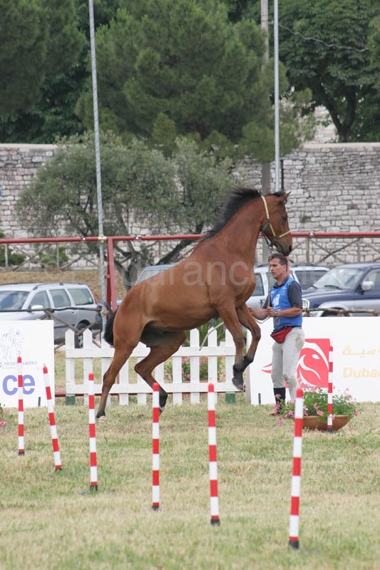 0806GUB_072