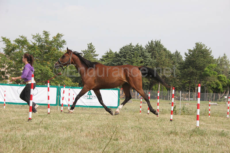 0806GUB_083