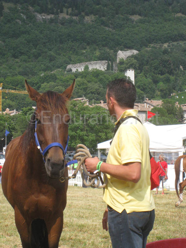 0806GUB_093