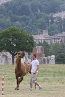 0806GUB_037