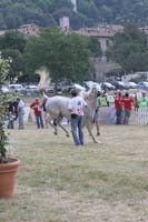 0806GUB_042