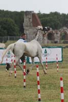 0806GUB_063