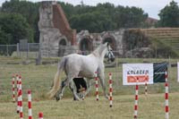 0806GUB_065