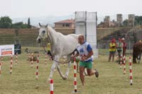 0806GUB_068
