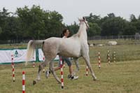0806GUB_069