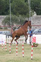 0806GUB_072