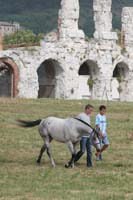 0806GUB_077