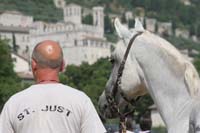 international/Italy/2008Gubbio/gallery/07VetIn/thumbnails/0806GUB_082.jpg