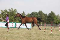 0806GUB_083