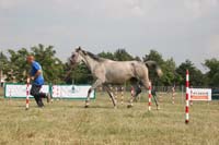 0806GUB_084