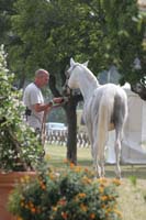 0806GUB_086