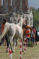 0806GUB_088