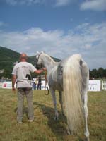 0806GUB_095