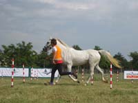 0806GUB_097